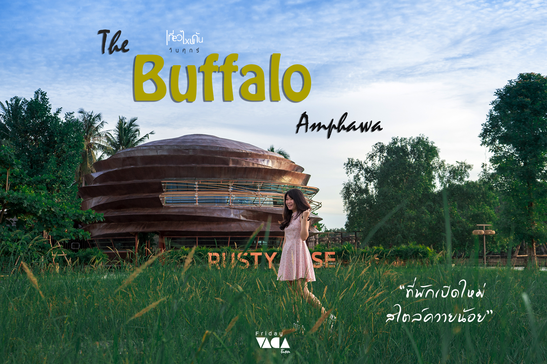 The buffalo Amphawa ที่พักอัมพวาเปิดใหม่